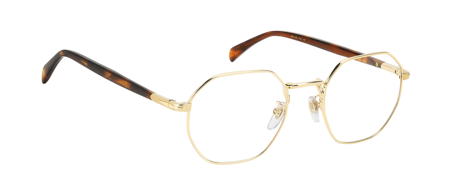 DB 1133 - Gold Brown Horn - Frames