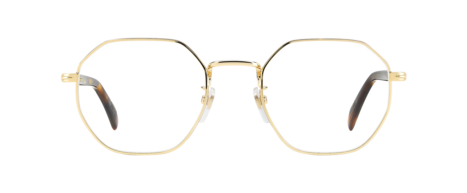 DB 1133 - Gold Brown Horn - Frames
