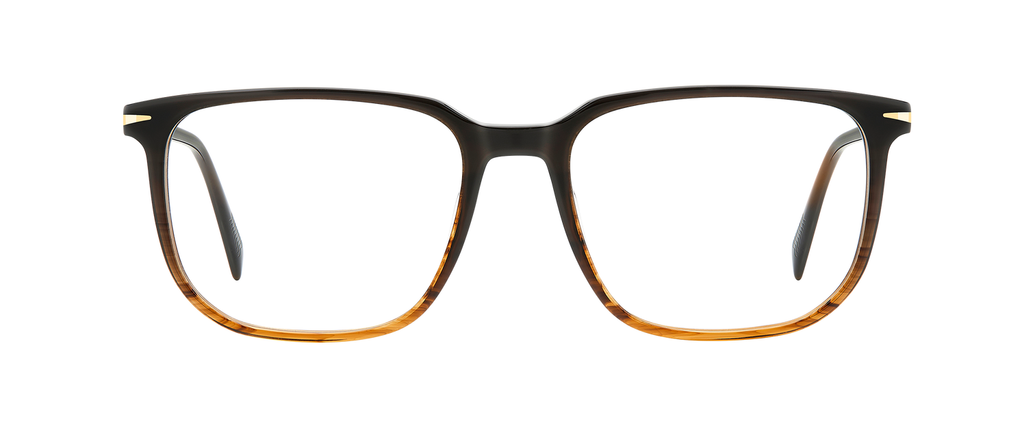 DB 1141 - Brown Shaded Horn - Frames