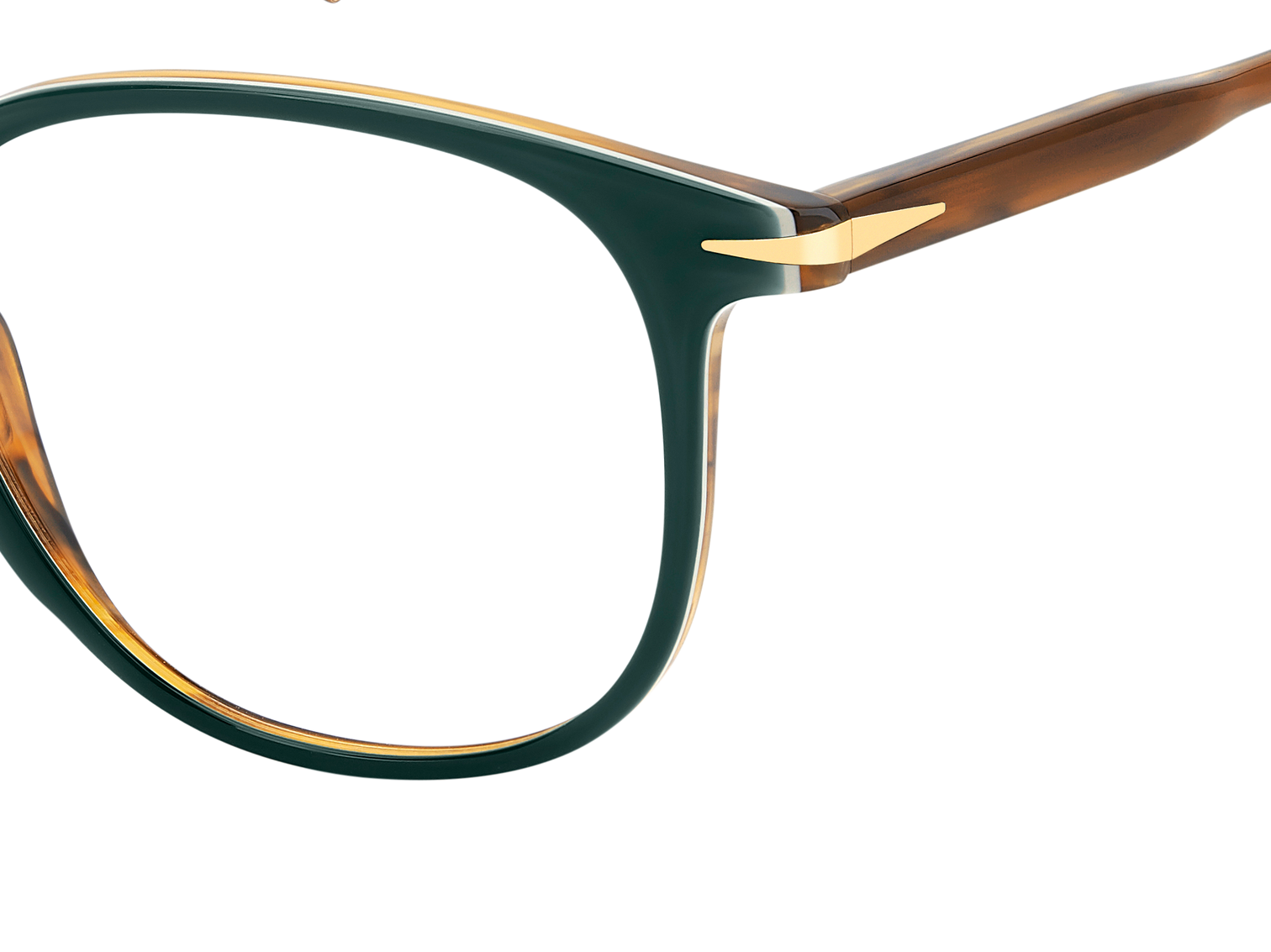 DB 1160 - Green Stripped Brown - Frames
